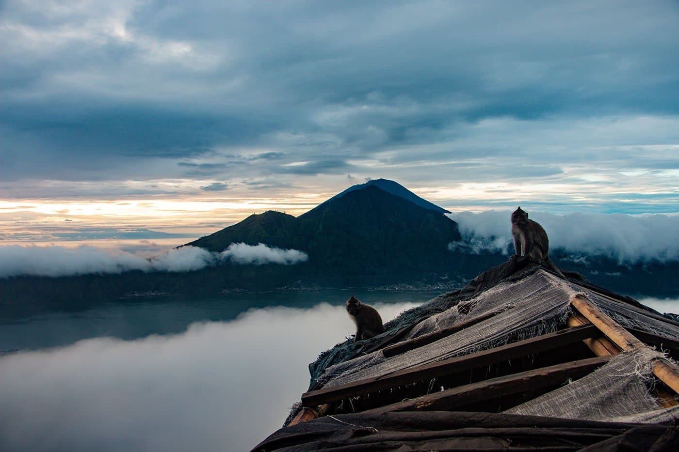 Two monkeys sit on a thatched roof above a sea of clouds with a volcanic peak in the distance