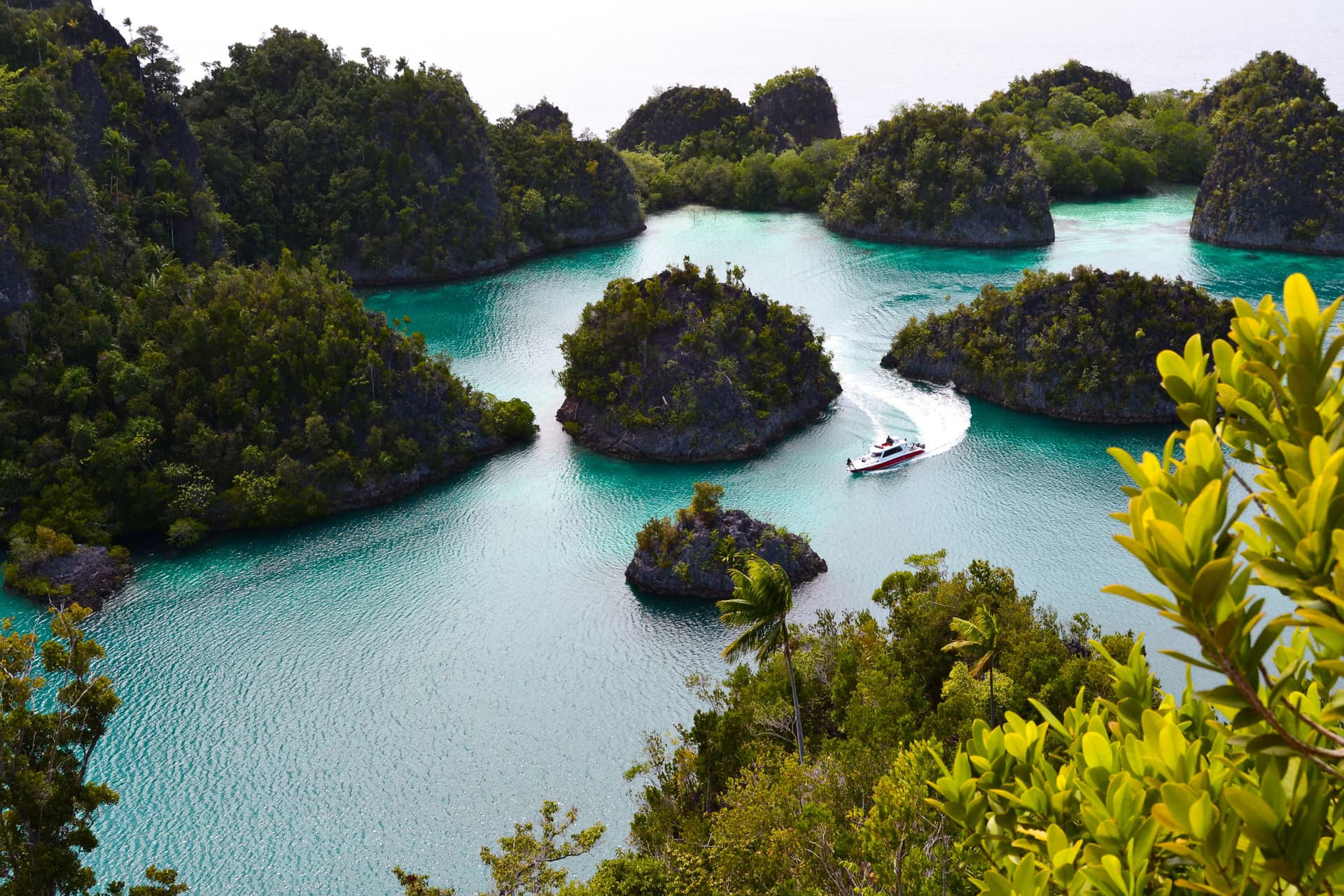 Small boat winding through turquoise water surrounded by forested limestone karst islands seen from an elevated viewpoint