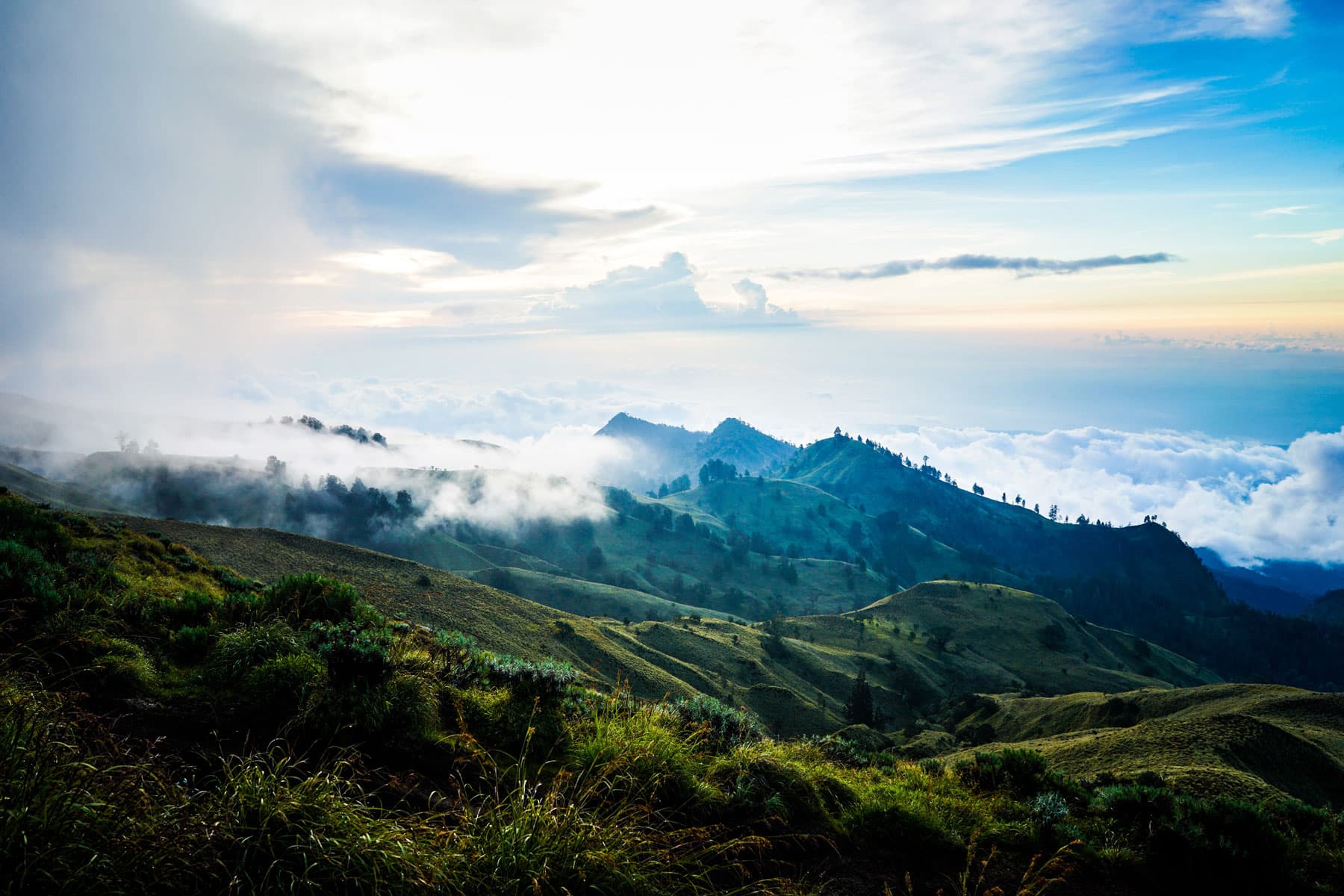 Green mountain ridges above a sea of clouds under a blue sky streaked with clouds at dawn