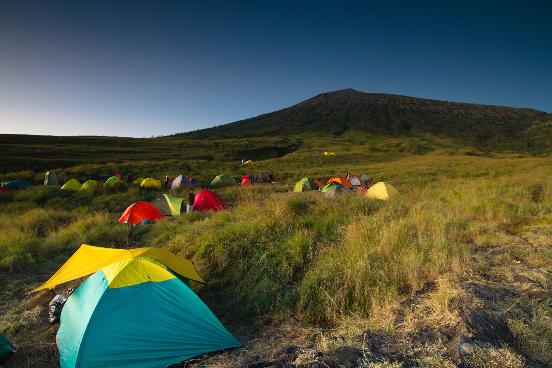 Colorful camping tents scattered across a grassy hillside with a large mountain silhouetted against dawn sky