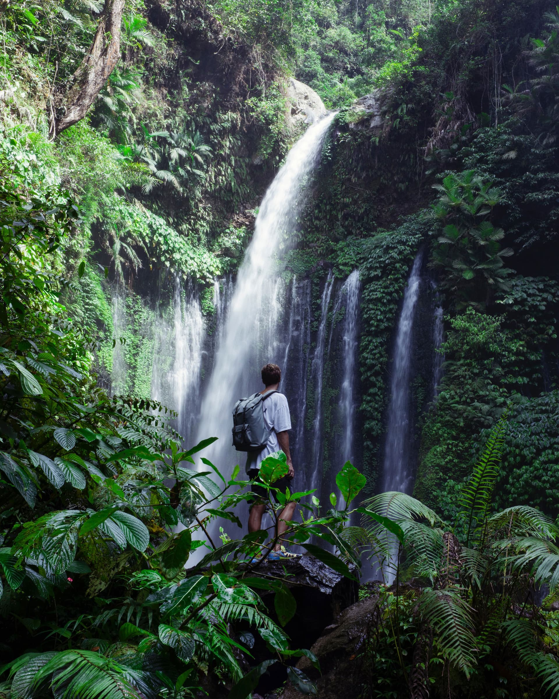 A hiker with a backpack stands on a rock viewing a tall waterfall surrounded by dense green jungle foliage