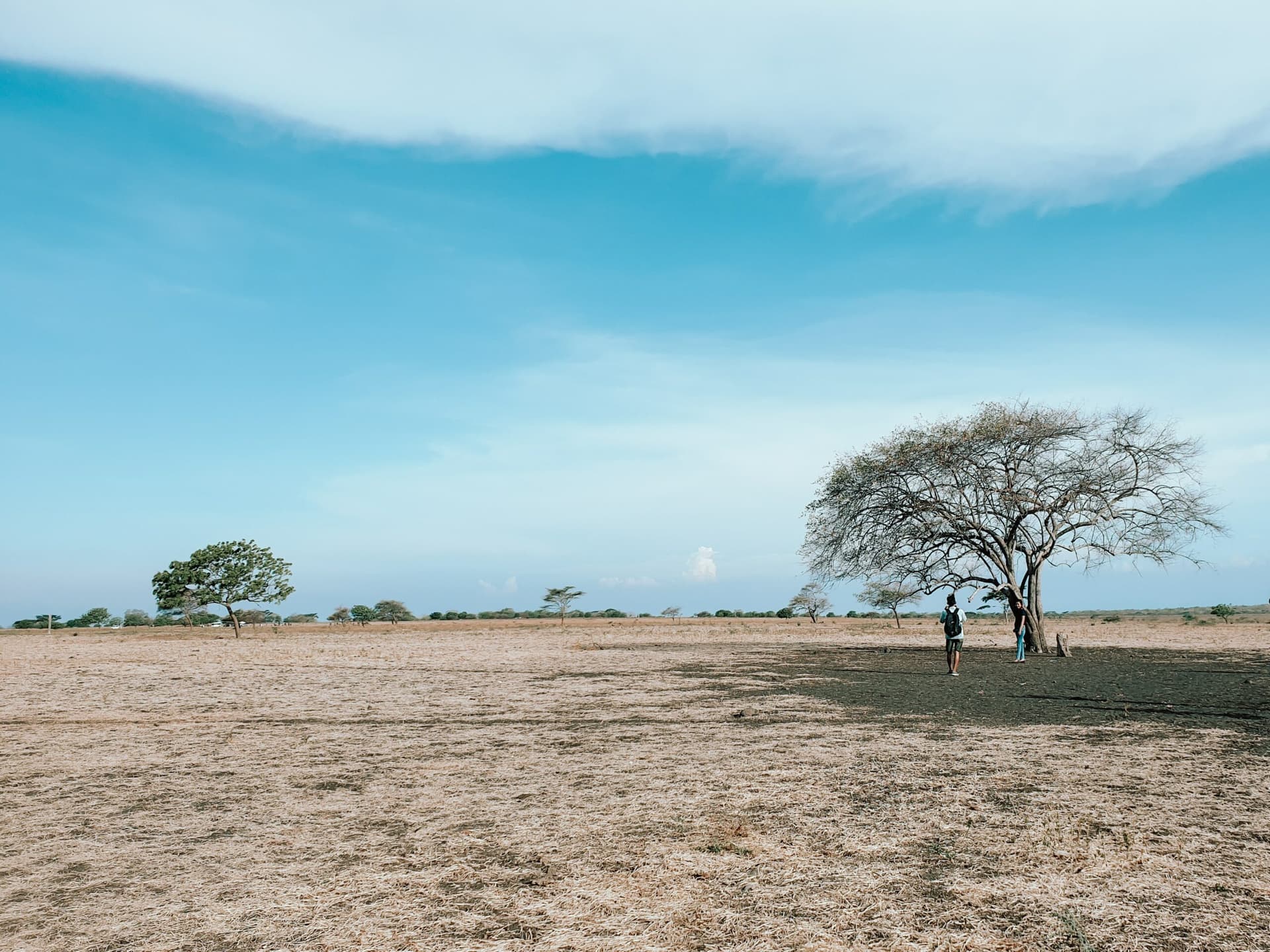 Two people standing beneath a bare tree in an open dry grassland under a wide blue sky
