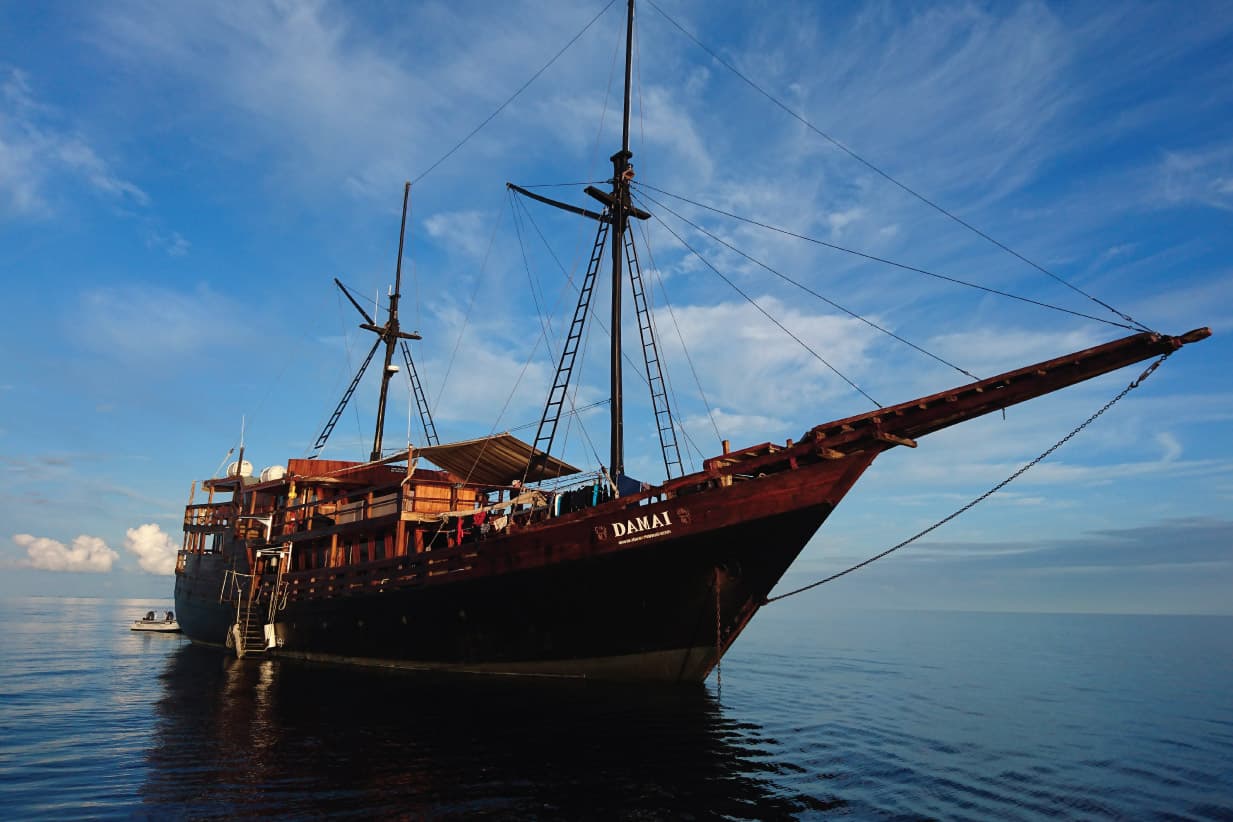 Damai 1 Liveaboard