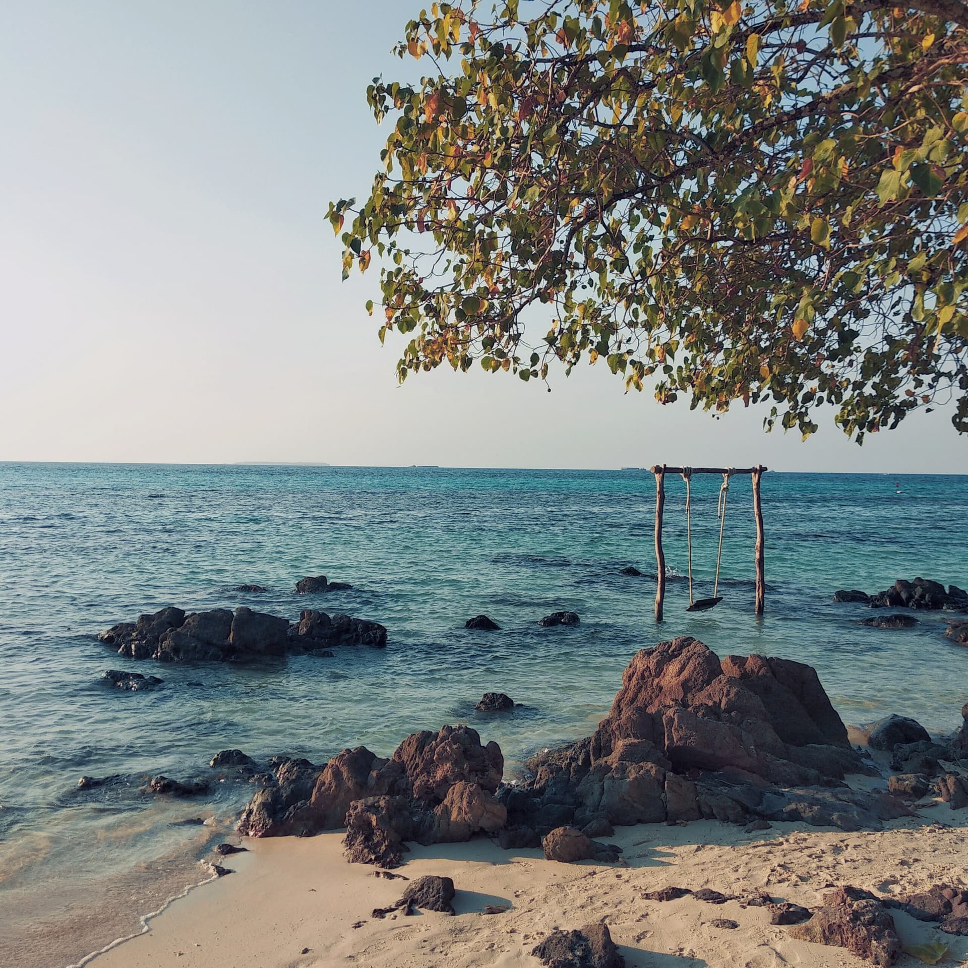 Wooden swing frame standing in shallow turquoise water beside dark rocks and a sandy beach, tree branches overhead
