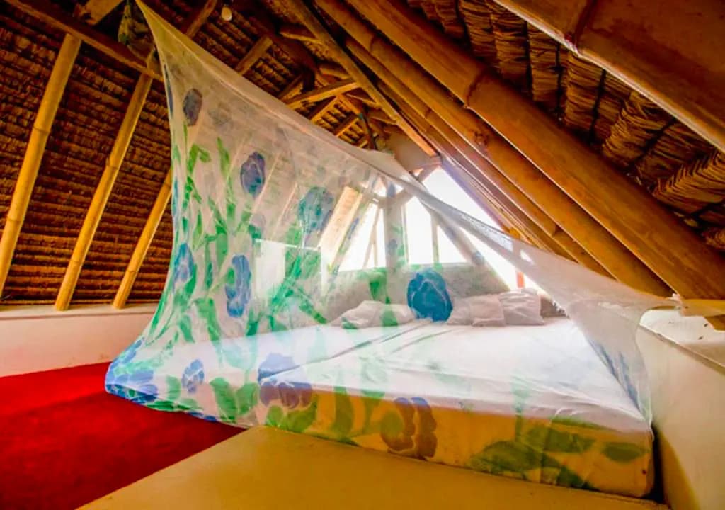 The Rabbit Tree, Bird Nest Room