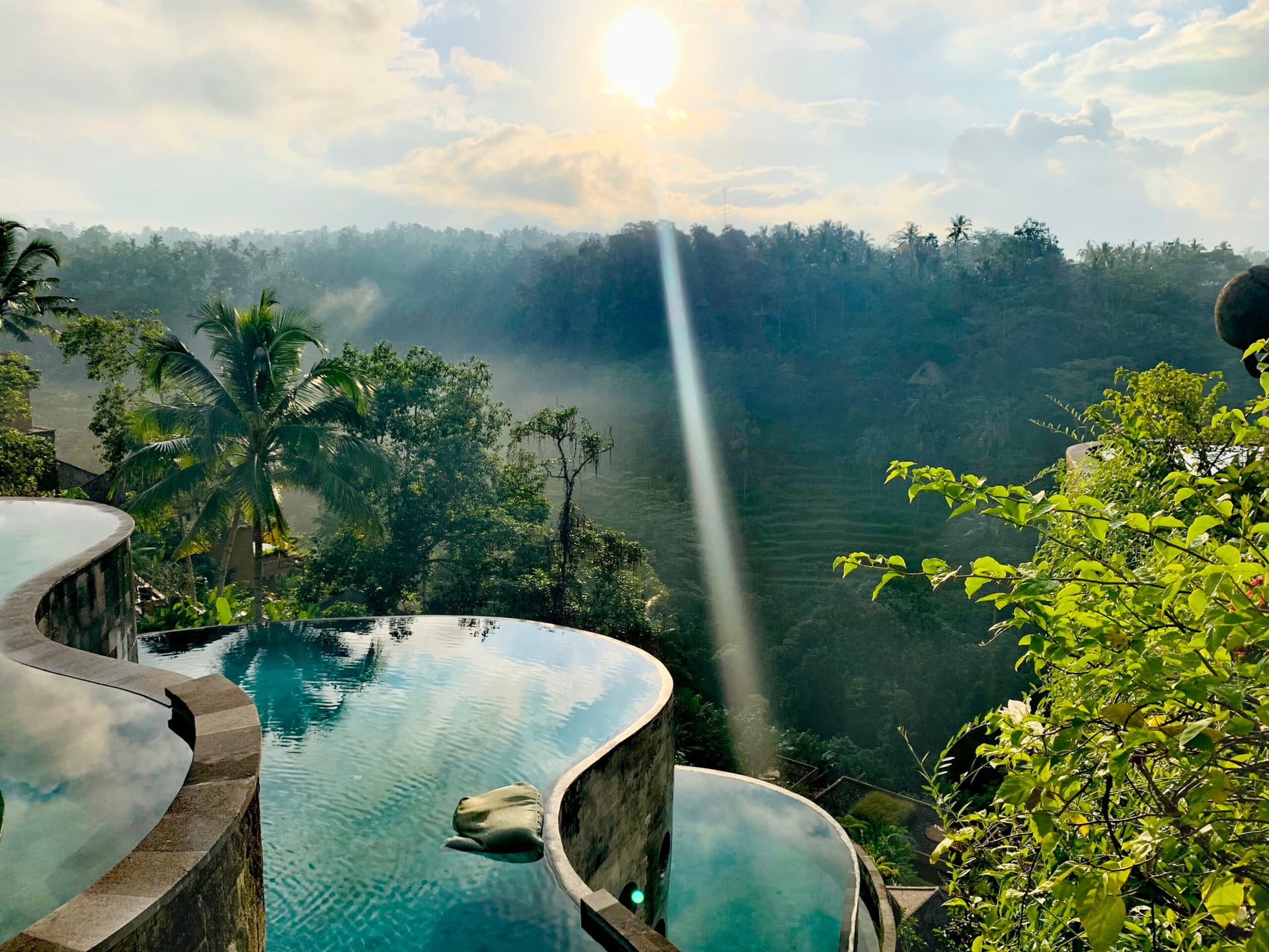 Curved infinity pool overlooking dense forested landscape with misty morning light and vegetation in foreground at The Kayon Jungle Resort