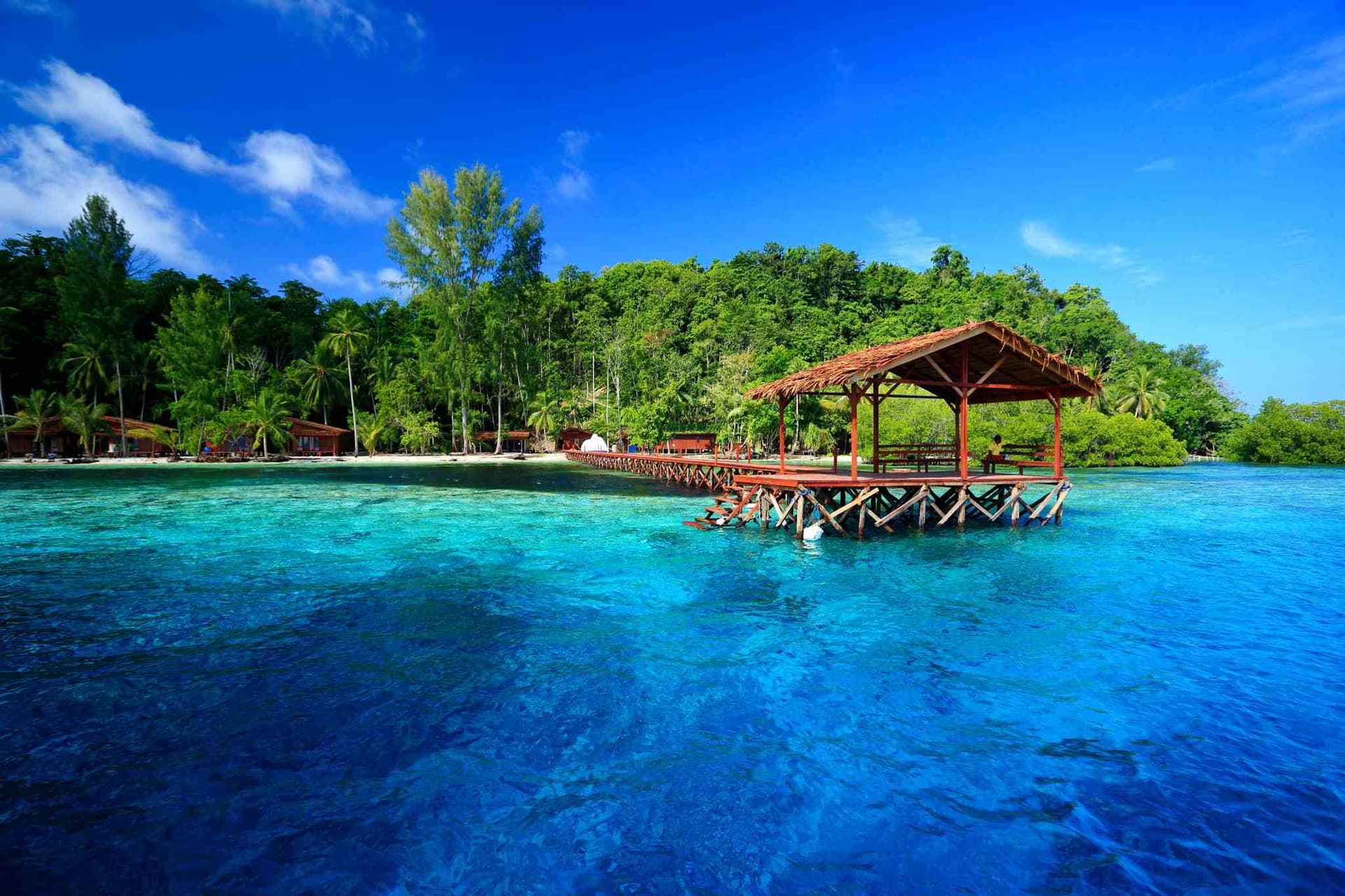 Cove Eco Resort