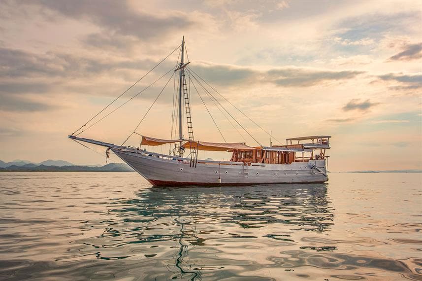 Our Favorite Budget Diving Liveaboards in Komodo