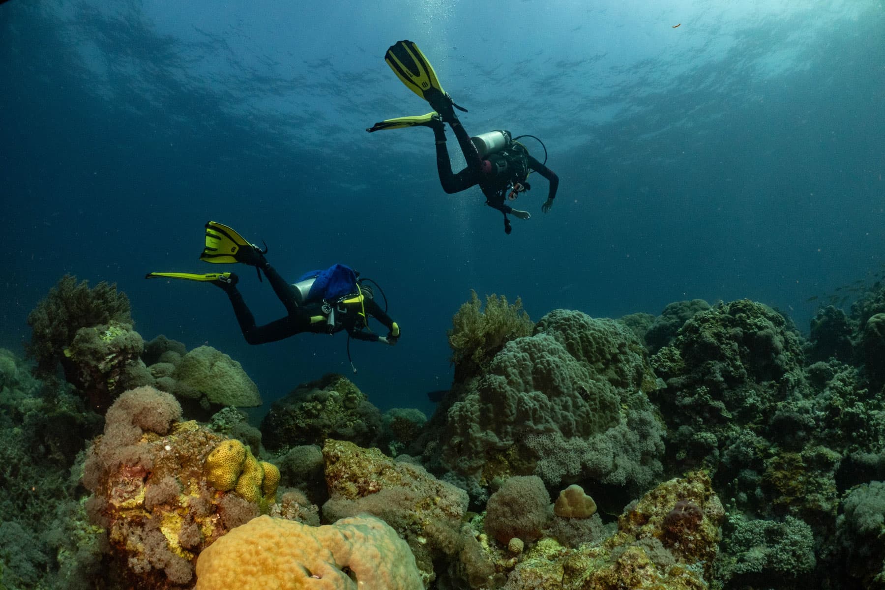 Two scuba divers with yellow fins swim above a coral reef in blue open water