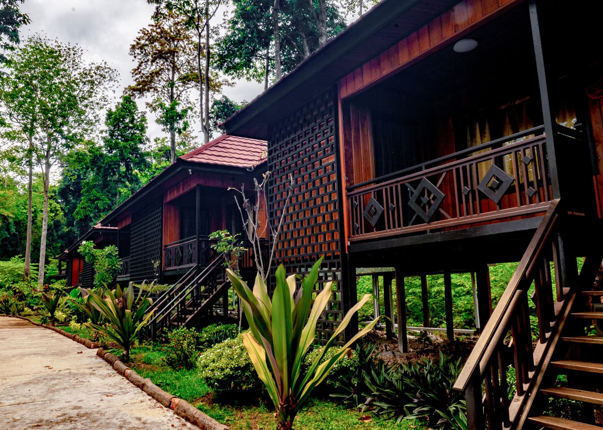Dark timber bungalows on stilts with geometric railings, surrounded by tropical plants and forest vegetation at Green Nirvana Resort