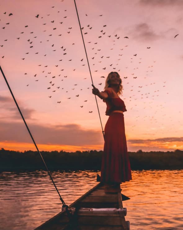 A guest standing on a boat's bow at sunset, watching a large flock of birds fly overhead
