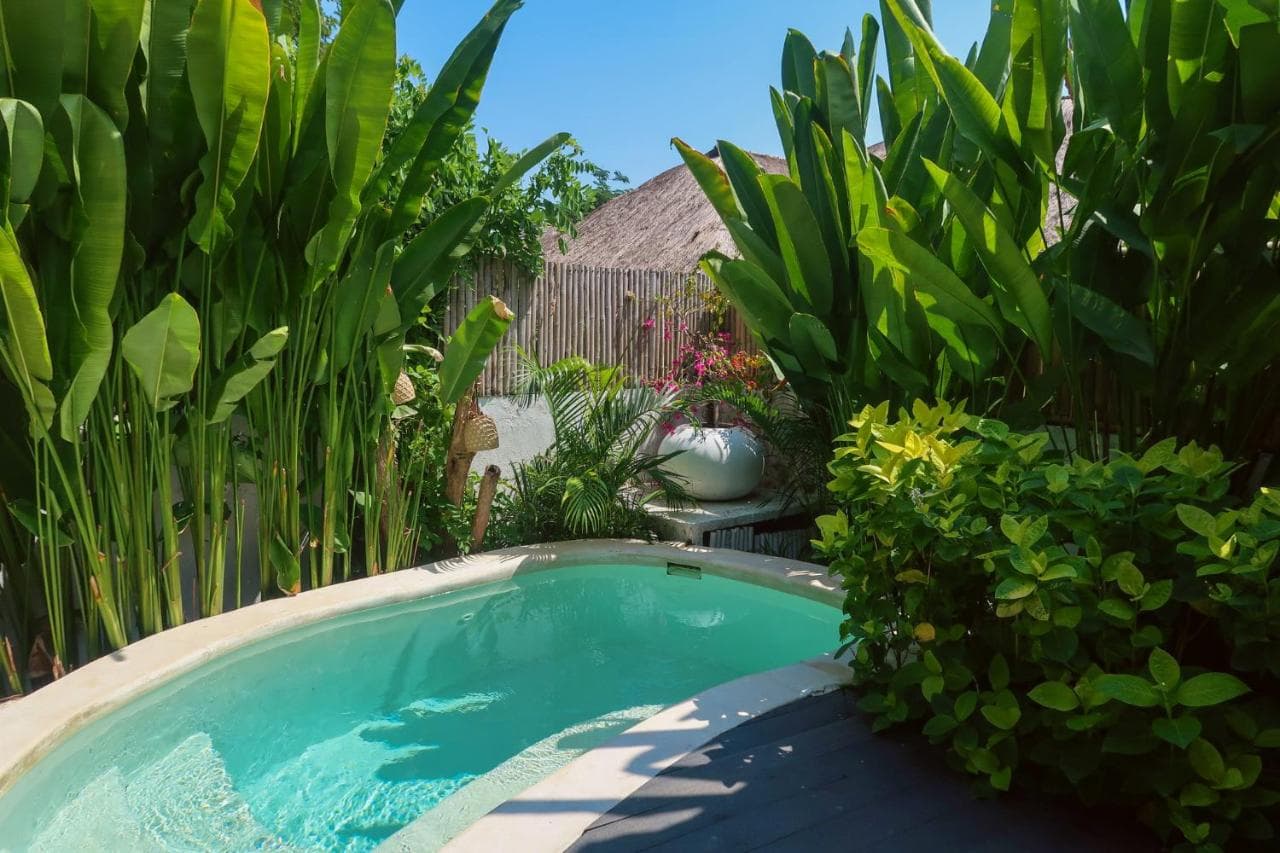 The Shacks pool surrounded by tall green plants, with a thatched-roof building and seating visible beyond