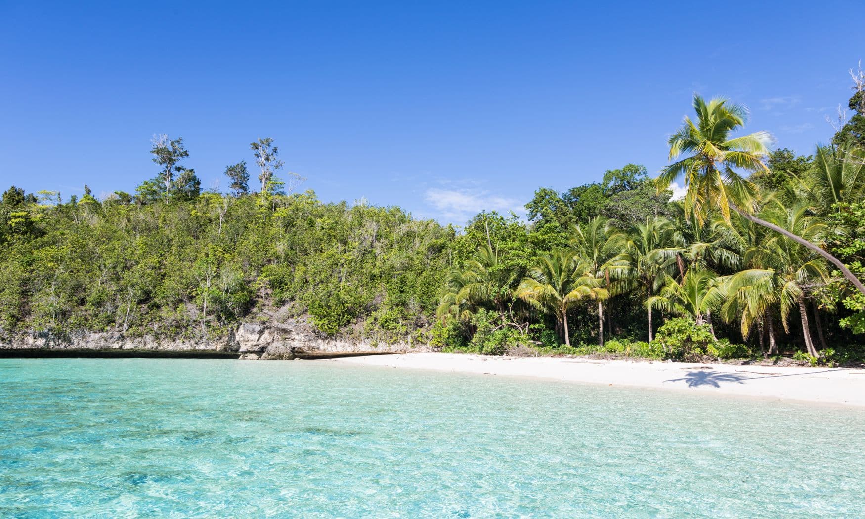 Turquoise shallow water meeting a white sand beach lined with palm trees and dense green forest under a clear blue sky