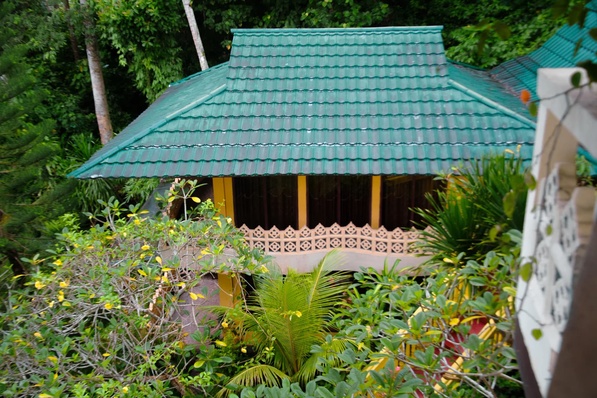 Tangkoko Sanctuary Villa's bungalow with turquoise-tiled roof surrounded by tropical vegetation and plants