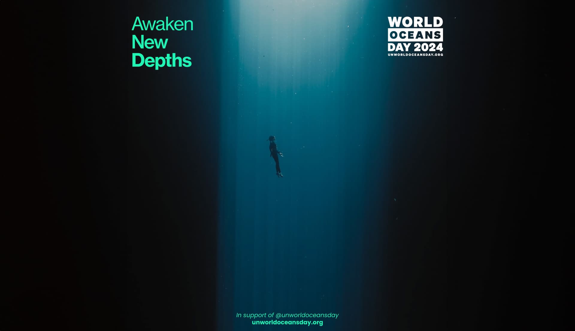 World Oceans Day 2024 | Dive into Action with 5 Local Ocean Heroes