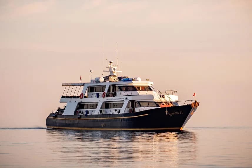 10% OFF | Raja Ampat Diving Liveaboard | Mermaid II | December 12th – 20th, 2026 