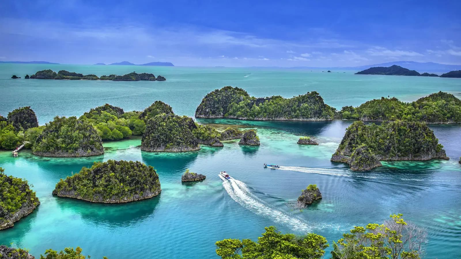 Raja Ampat Diving: Liveaboard or Dive Resorts – Complete Guide