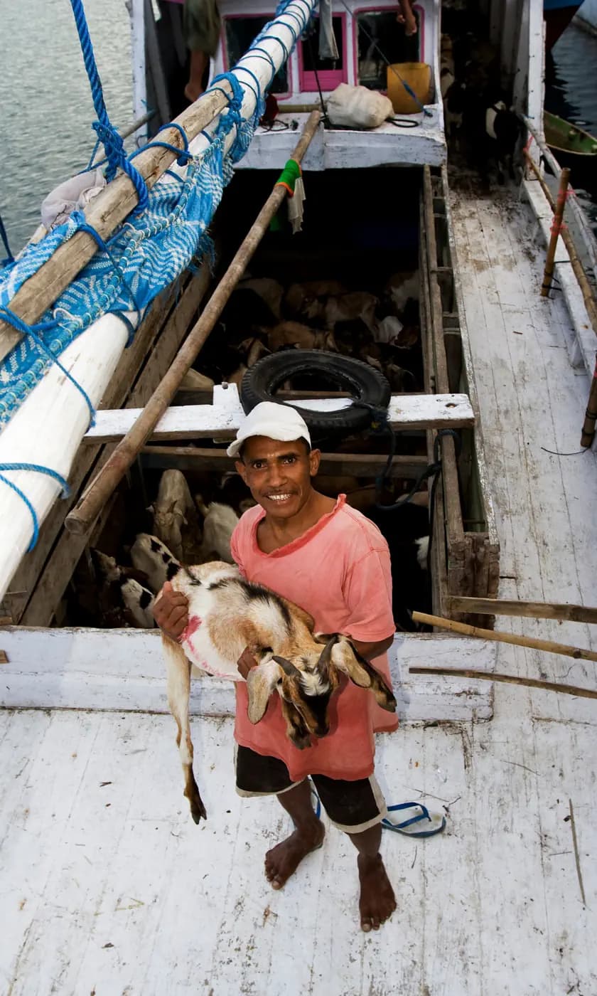 Man in a cap smiling while carrying a young goat on the deck of a wooden boat