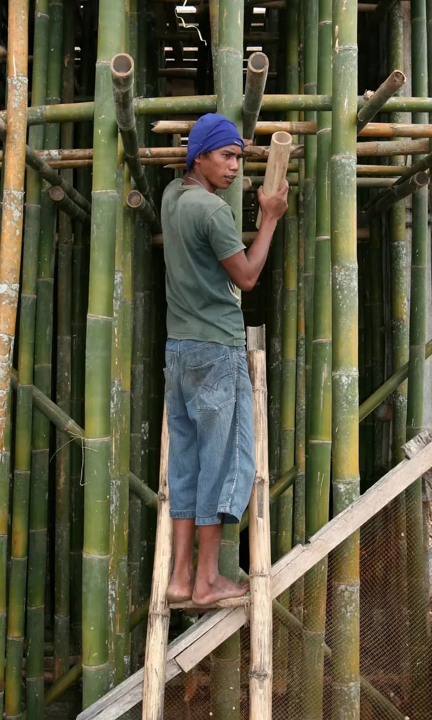 Barefoot worker on a wooden ladder fitting bamboo poles into a large bamboo scaffold structure