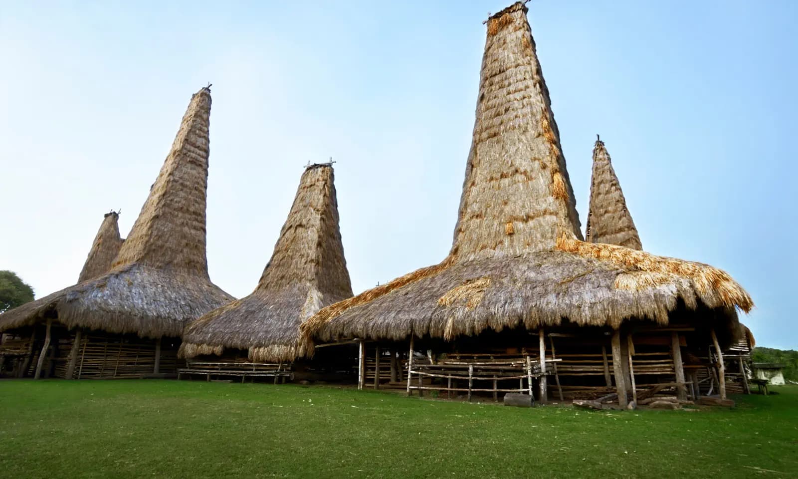 Traditional thatched houses with tall peaked roofs standing on wooden stilts beside a grassy field