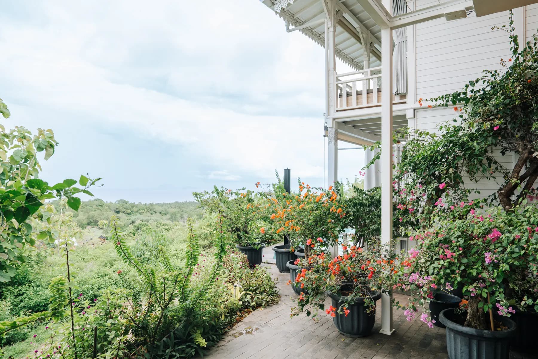 Mambo Hill Resort terrace with flowering plants in pots, white building structure, and vegetated landscape view beyond