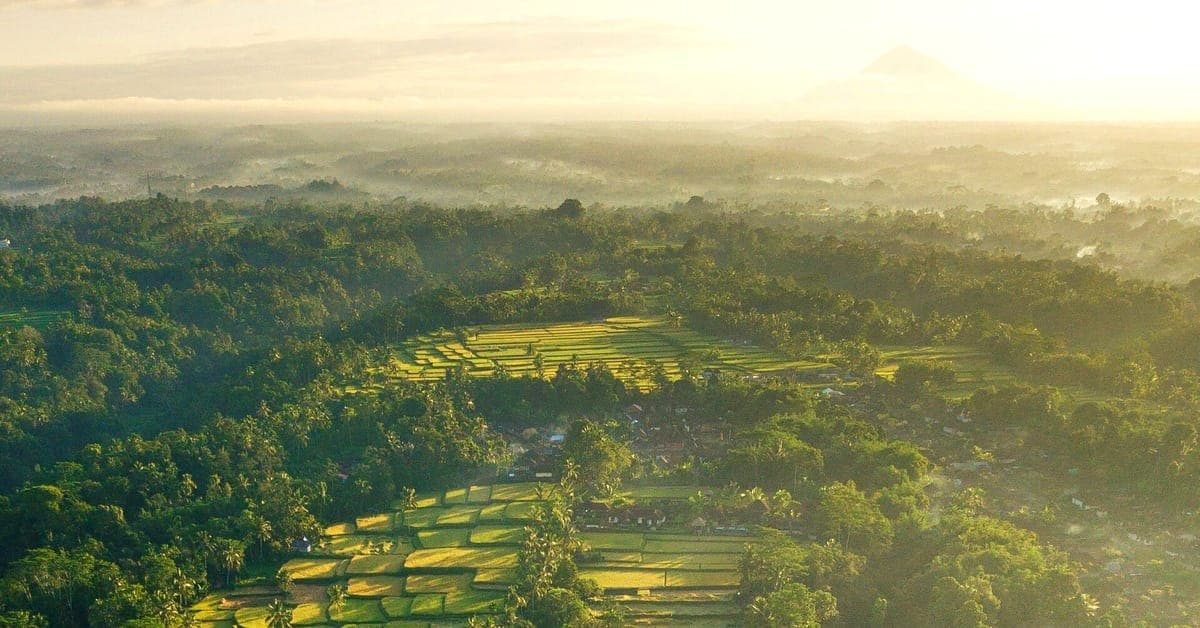 Bali Is the World’s #1 Travel Destination for 2026. Here’s What the Rankings Didn’t Count.