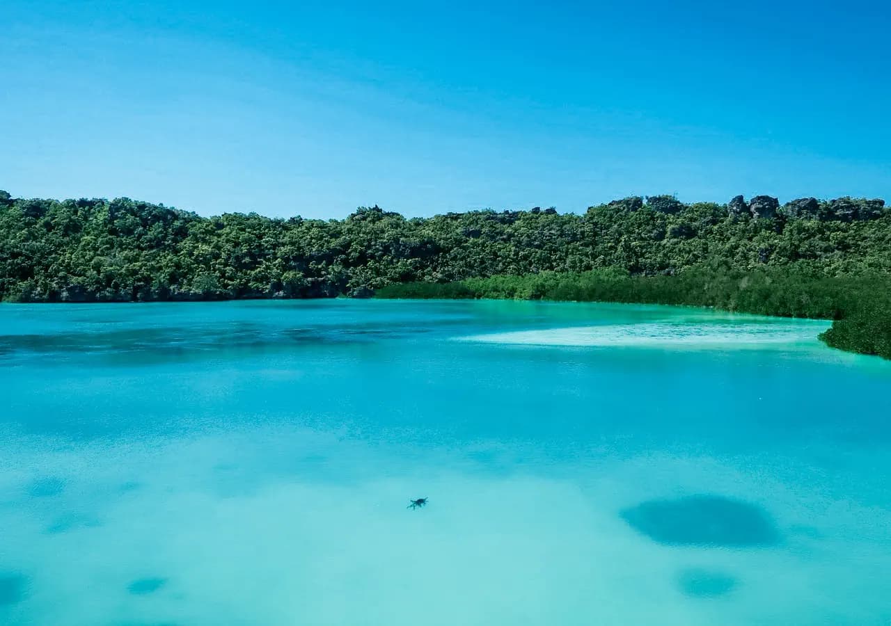 Turquoise lagoon with a small dark reflection on the water, bordered by dense green forest under a clear blue sky