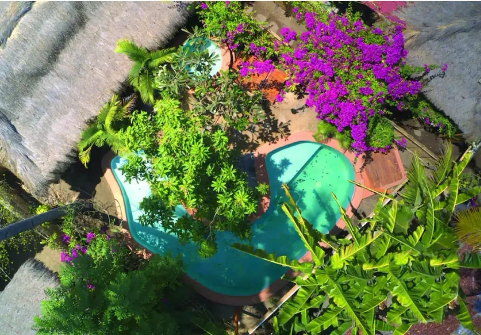 Overhead view of a green watering can surrounded by magenta flowers and green foliage on a terracotta-tiled garden area at Meno Island Villas