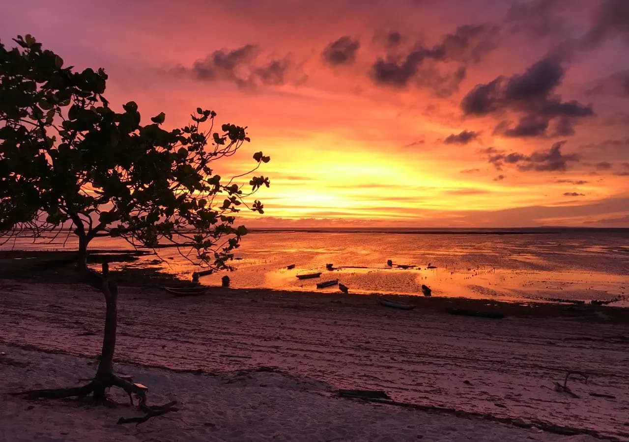 Silhouetted tree branches frame a fiery orange and pink sunset over a shallow beach with small boats resting on the sand