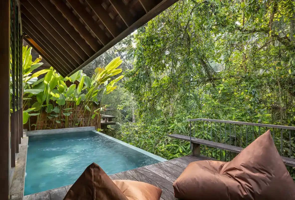 A swimming pool on a wooden deck with brown cushioned seating, sheltered by a roof, surrounded by dense green vegetation