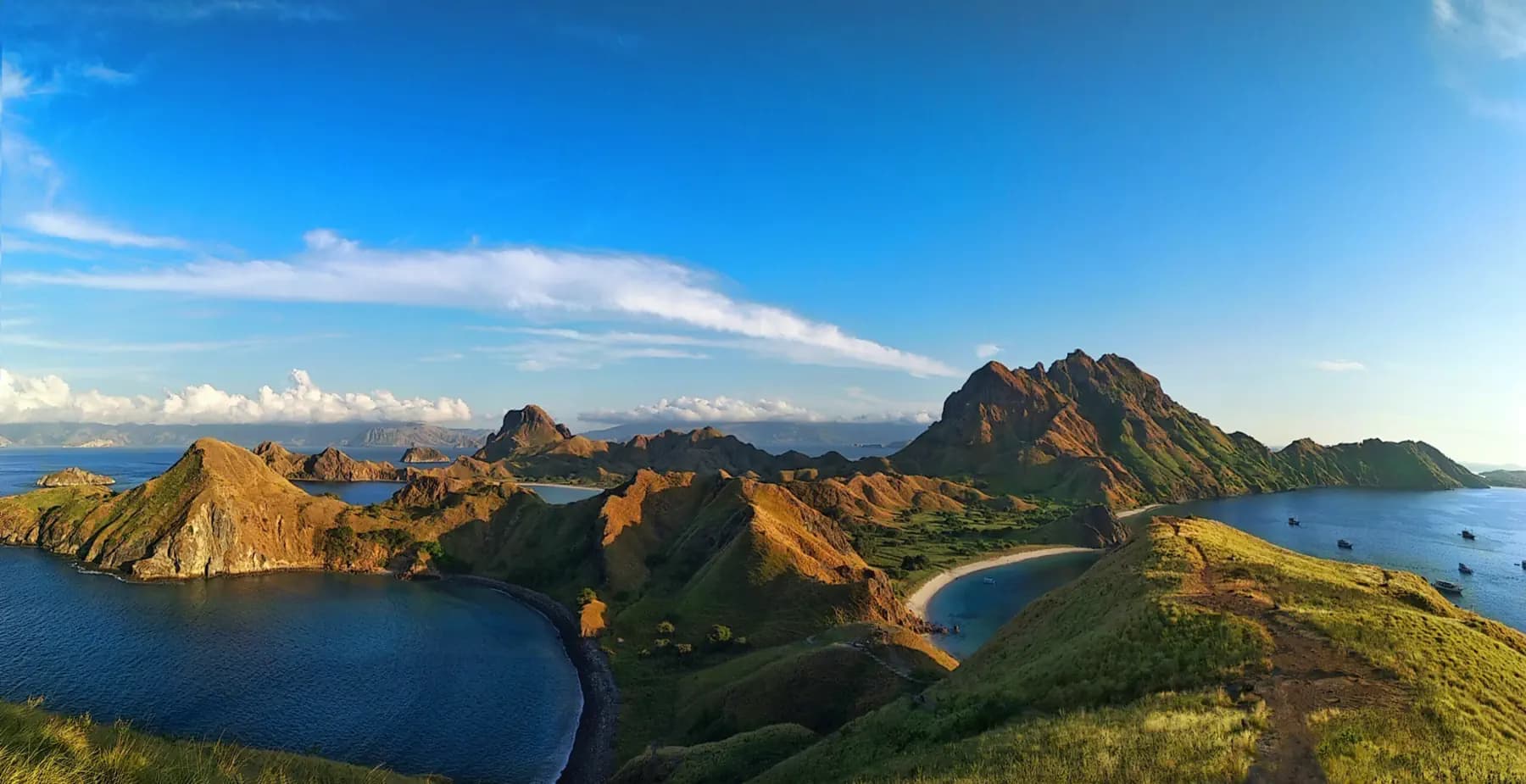 Komodo