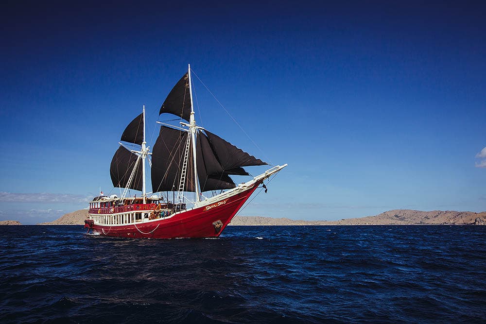 The Seven Seas