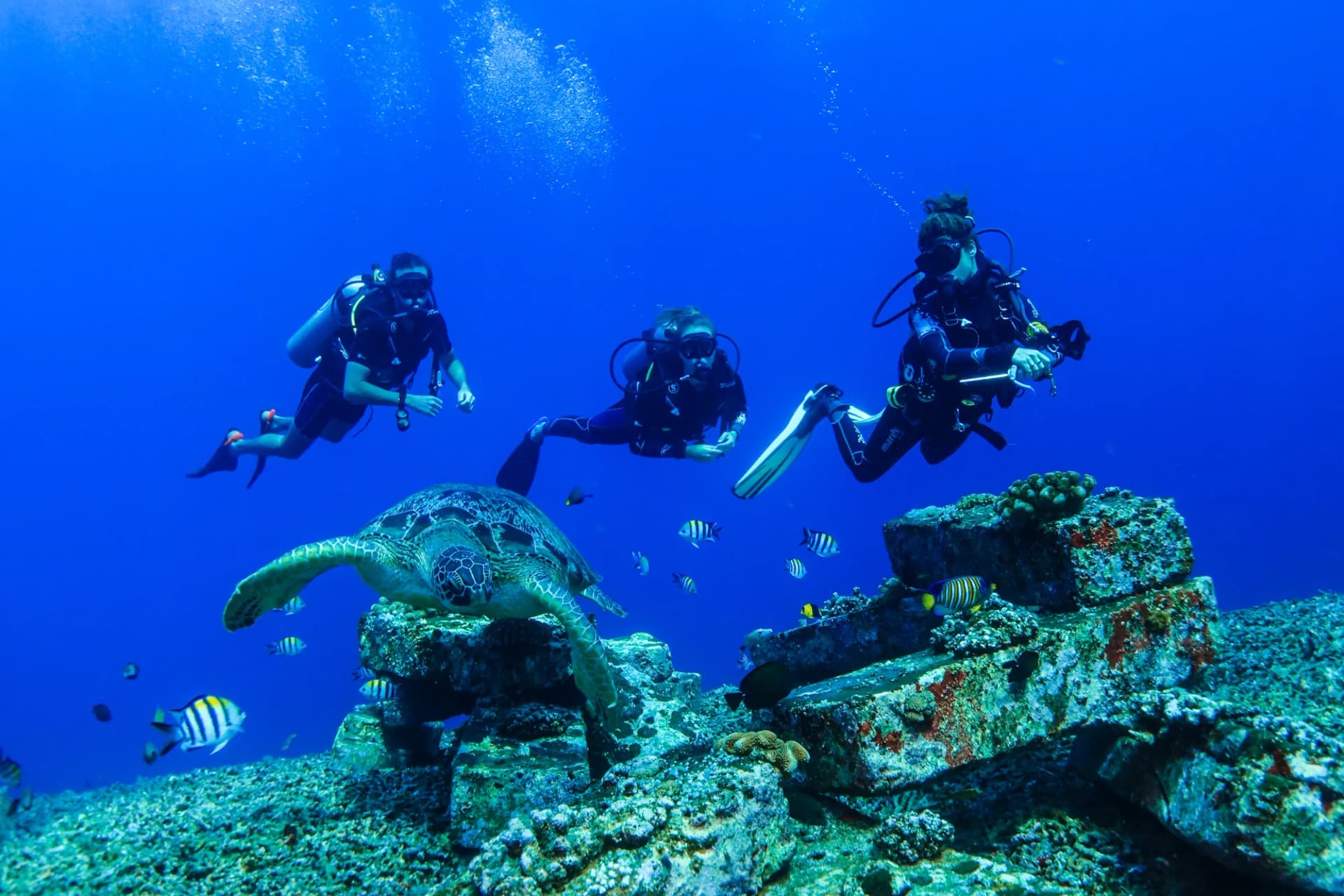 13 Days Dive Safari Bali & Gili Islands