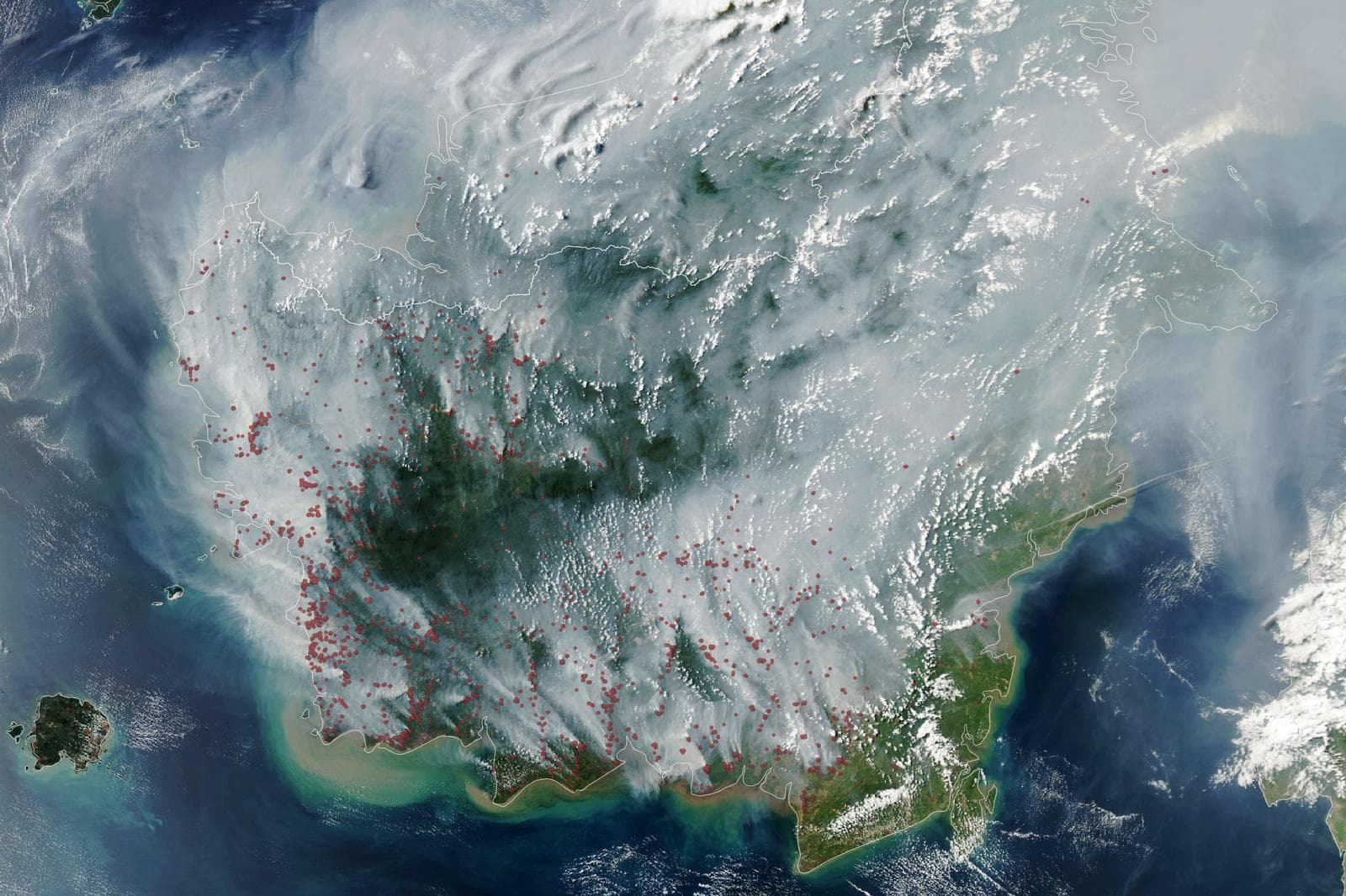 Borneo Fires 2026: Orangutans, Haze and Tanjung Puting